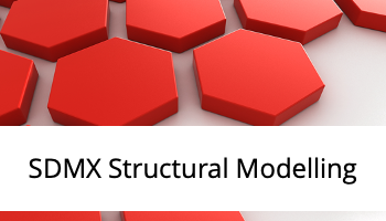 Transform and map statistical logical models to the SDMX standard.