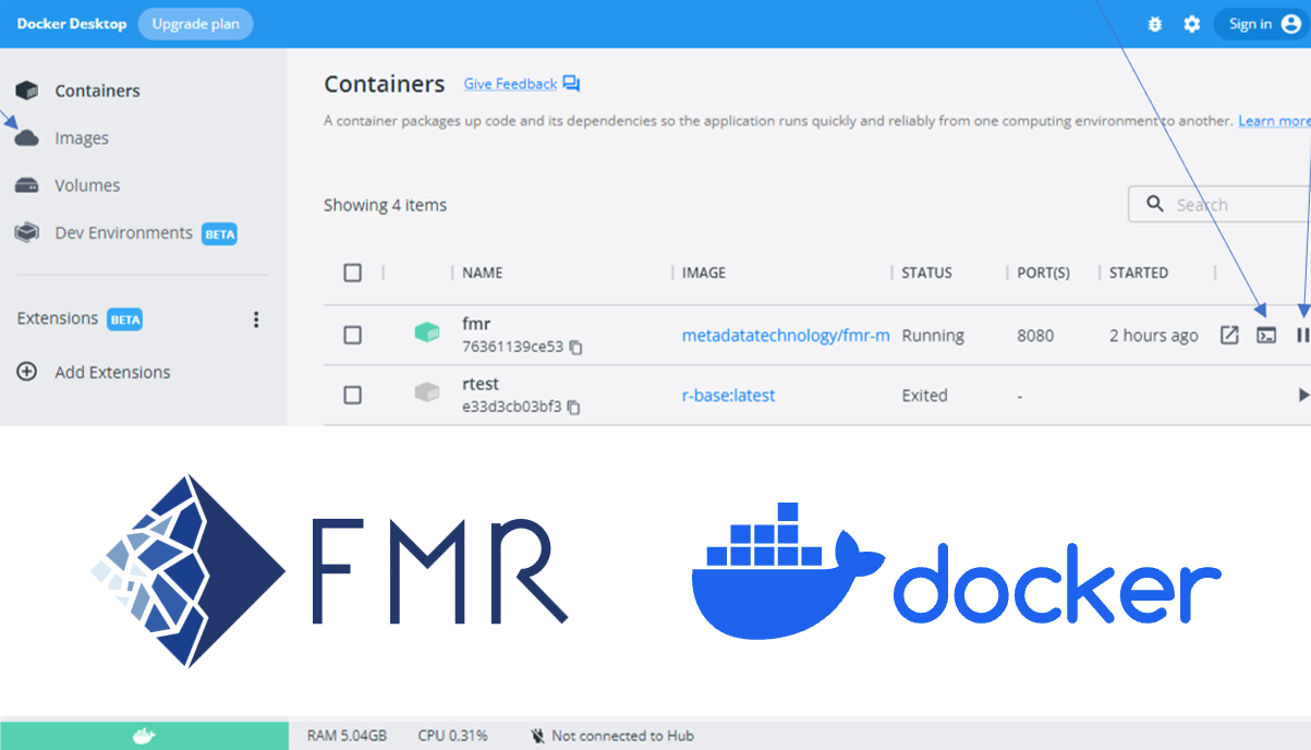 Learn how to run the FMR software in a Docker container
